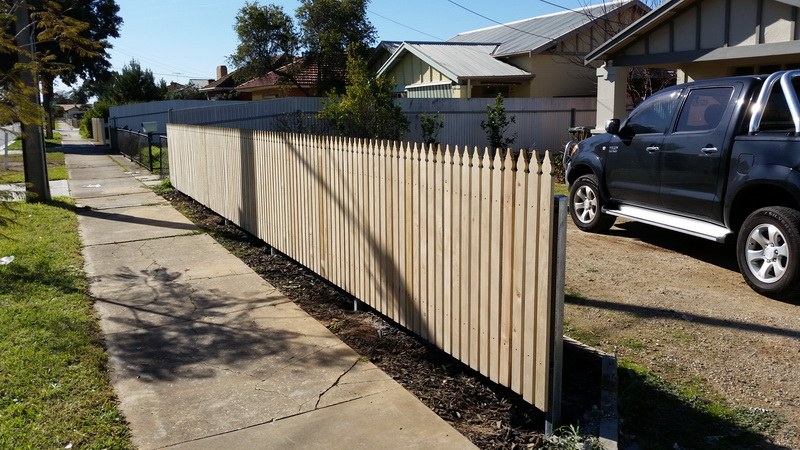Why Paling Fences Are the Most Popular Choice in Geelong Homes
