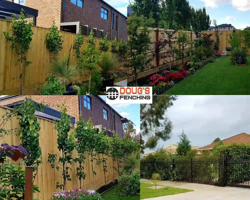 Fencing work